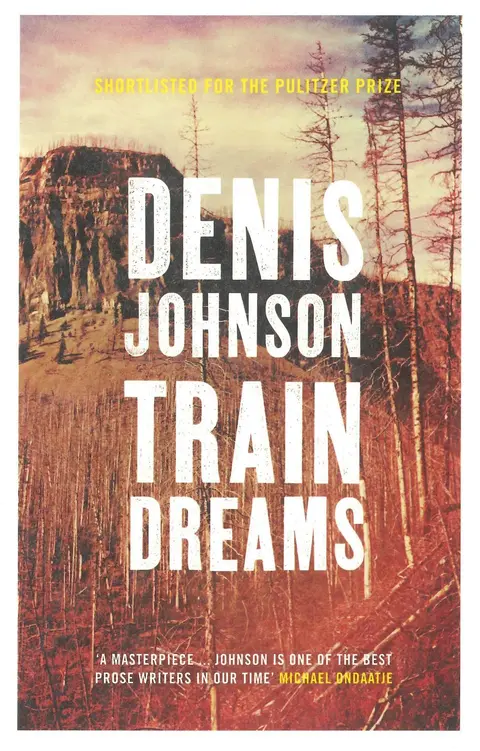 Cover of Train Dreams
