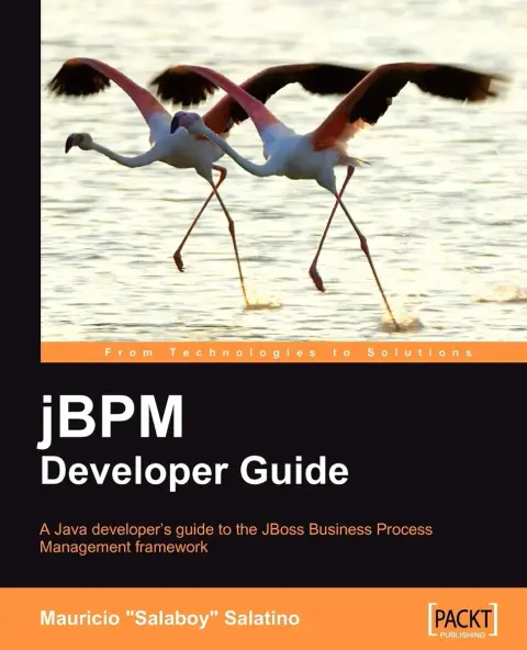 Cover of jBPM Developer Guide