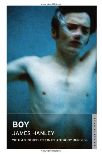 Cover of Boy