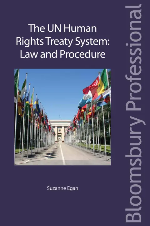 Cover of The UN Human Rights Treaty System