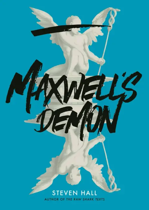 Cover of Maxwell's Demon
