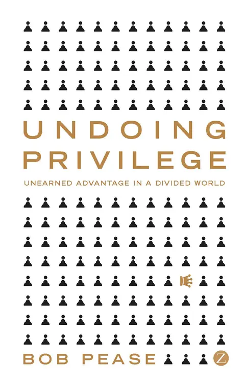 Cover of Undoing Privilege