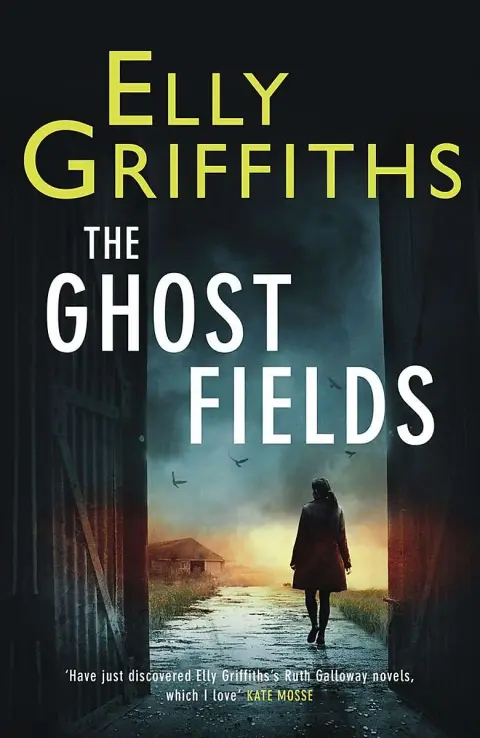 Cover of Ghost Fields