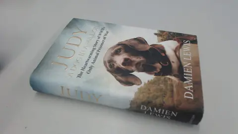 Cover of Judy