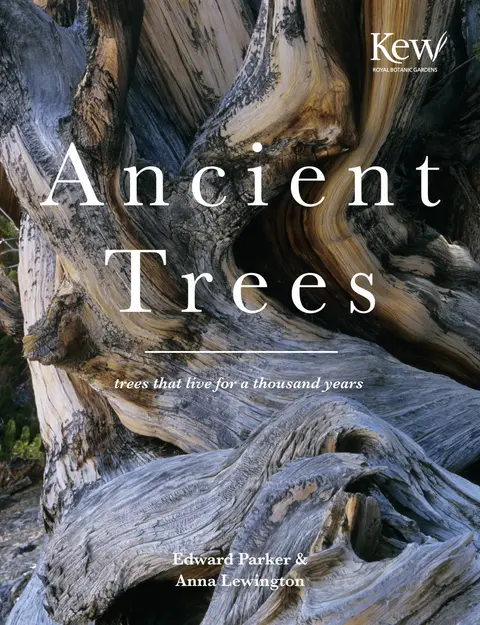 Cover of Ancient Trees