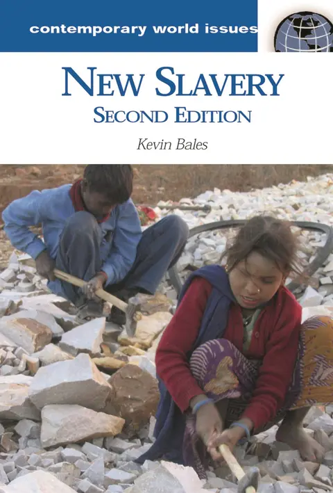 Cover of New Slavery
