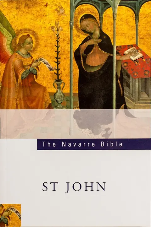 Cover of The Navarre Bible