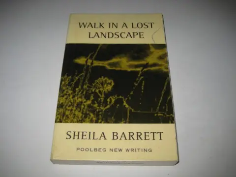 Cover of Walk in a Lost Landscape