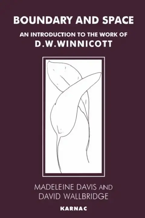 Cover of Boundary and Space