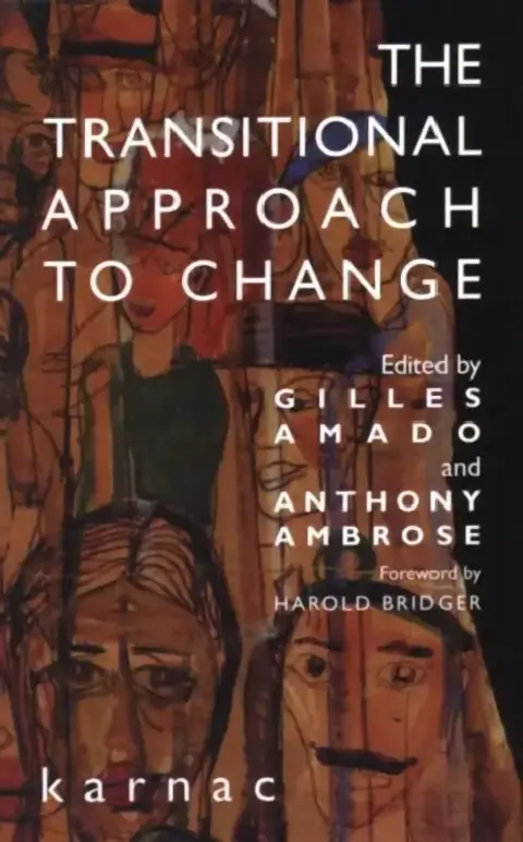 Cover of The Transitional Approach to Change