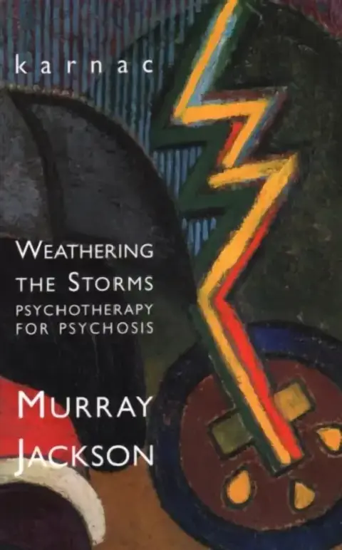Cover of Weathering Storms