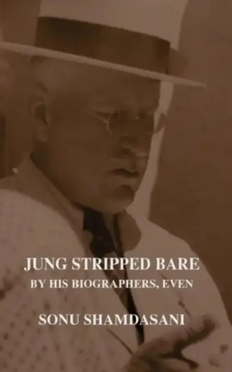 Cover of Jung Stripped Bare