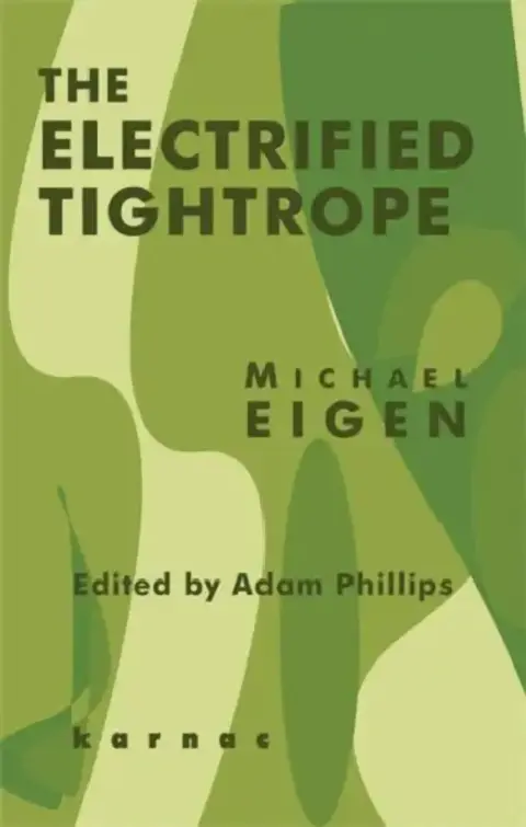 Cover of The Electrified Tightrope