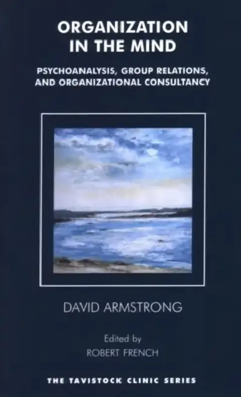 Cover of Organization in the Mind