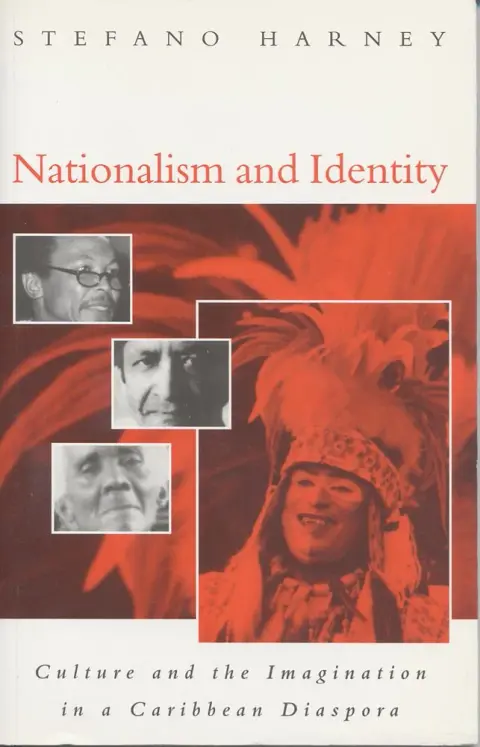 Cover of Nationalism and Identity
