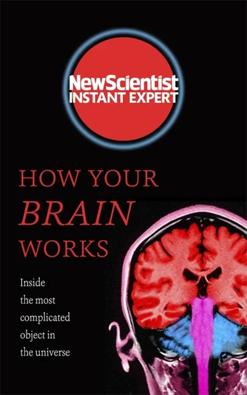 Cover of How Your Brain Works