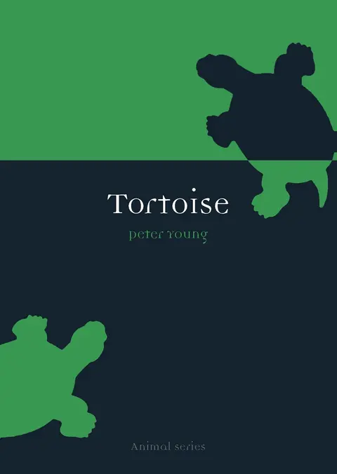 Cover of Tortoise