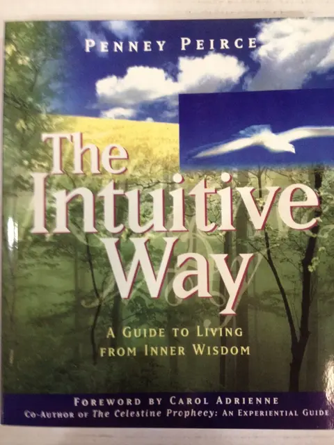 Cover of Intuitive Way