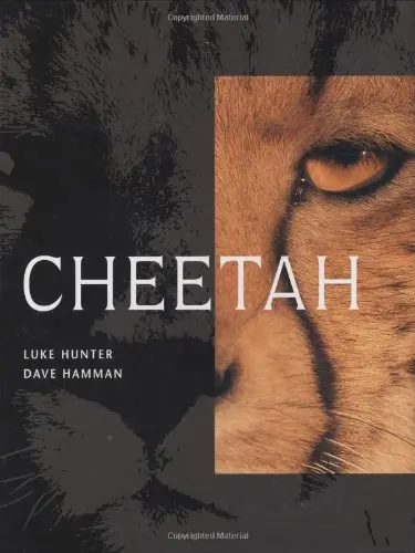 Cover of Cheetah