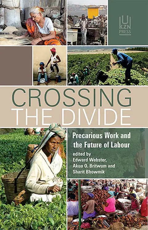 Cover of Crossing the divide