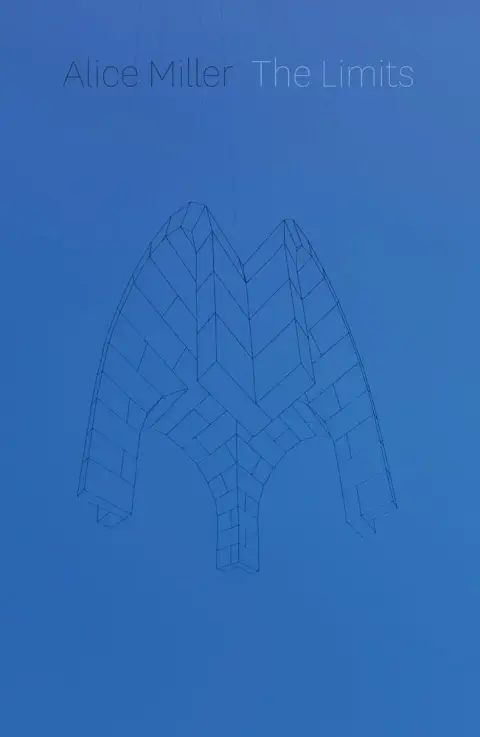 Cover of The Limits