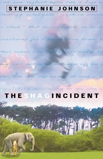 Cover of The Shag incident