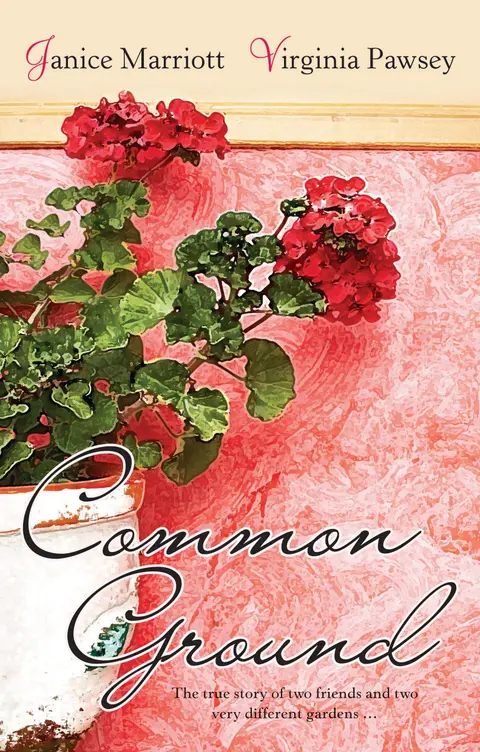 Cover of Common Ground