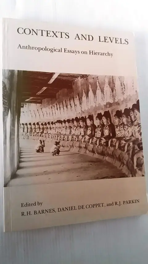 Cover of Contexts and Levels