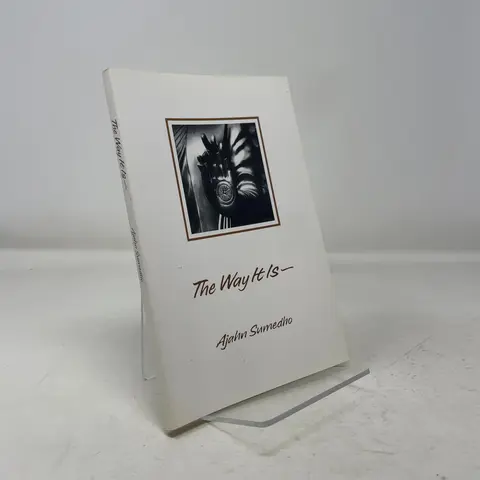Cover of The Way It Is