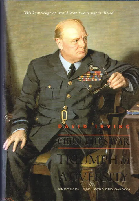 Cover of Triumph in Adversity (v. 2)