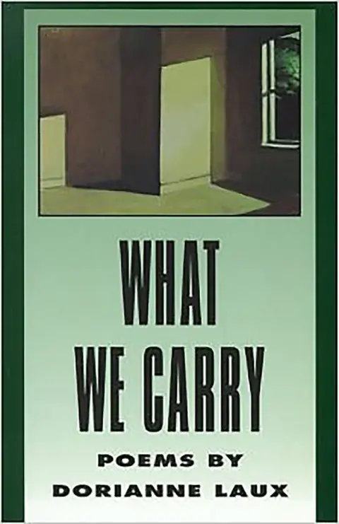 Cover of What We Carry