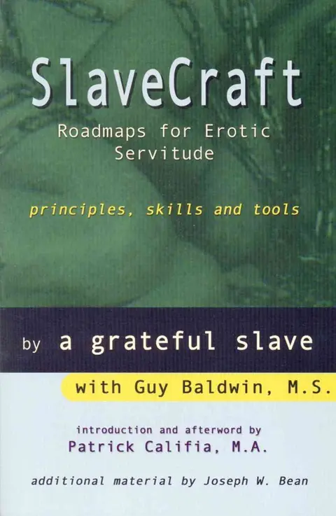 Cover of Slave Craft