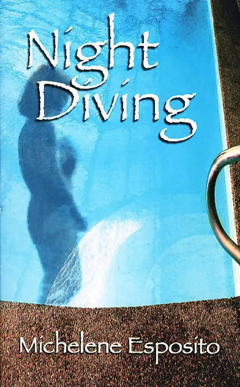 Cover of Night Diving