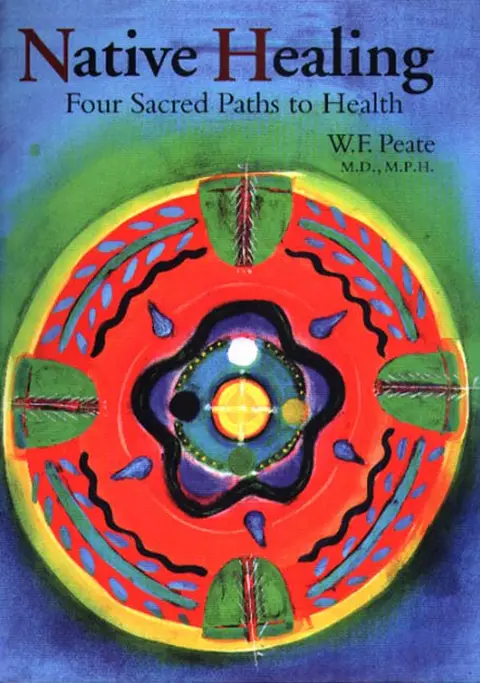 Cover of Native Healing