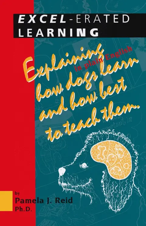 Cover of Excel-Erated Learning