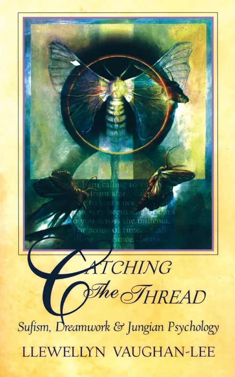 Cover of Catching the Thread