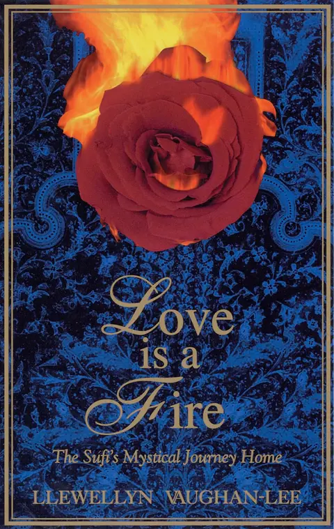 Cover of Love Is a Fire