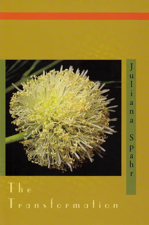 Cover of The Transformation