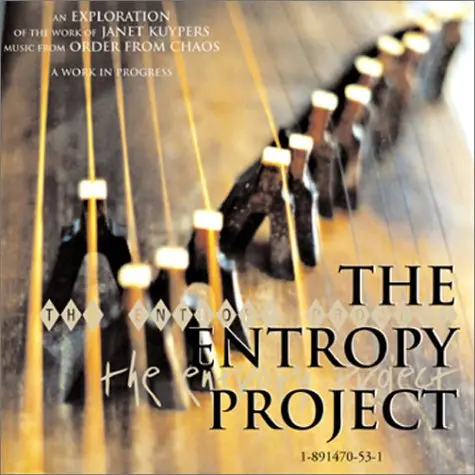 Cover of The Entropy Project