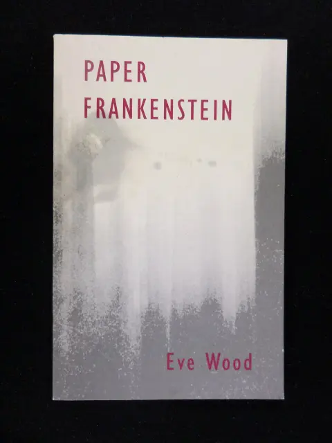 Cover of Paper Frankenstein