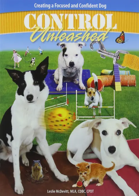 Cover of Control Unleashed