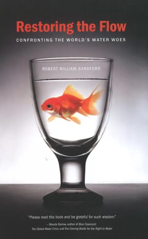 Cover of Restoring the Flow