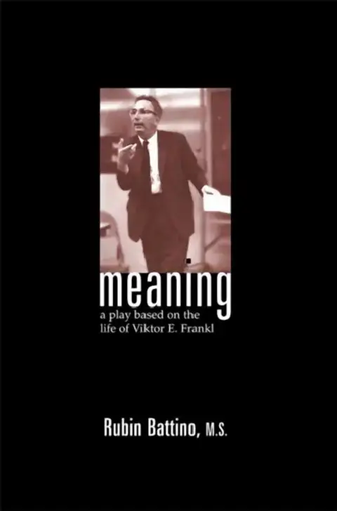 Cover of Meaning