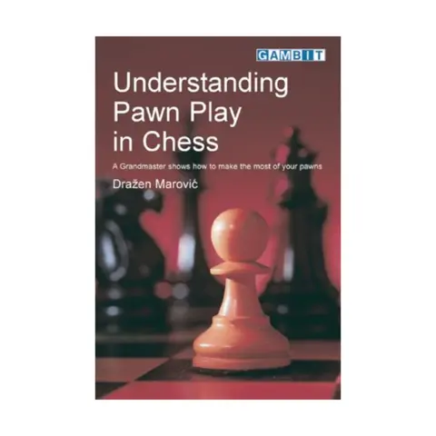 Cover of Understanding Pawn Play in Chess