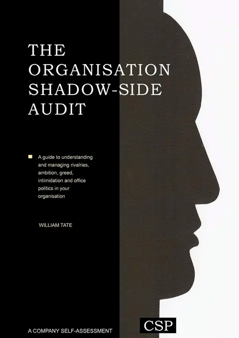 Cover of The Organisation Shadow Side Audit