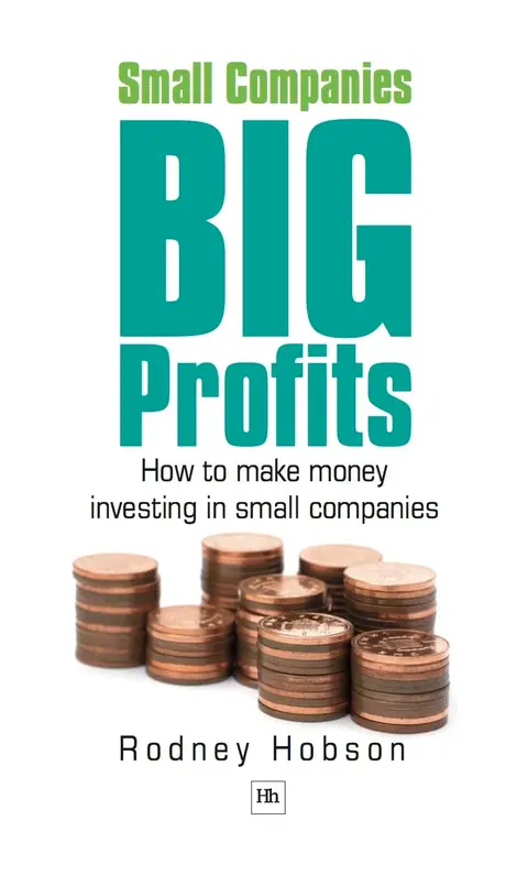 Cover of Small Companies, Big Profits