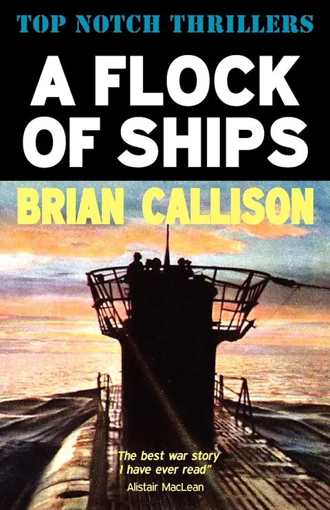 Cover of A Flock of Ships