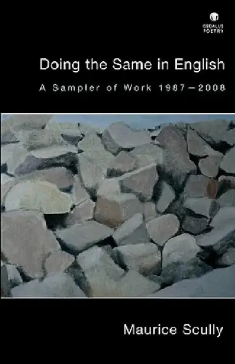 Cover of Doing the Same in English