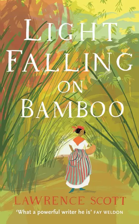 Cover of Light Falling on Bamboo