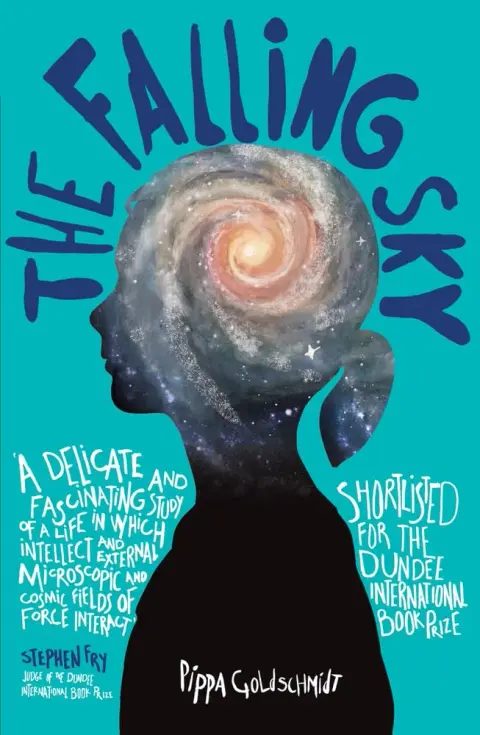 Cover of Falling Sky